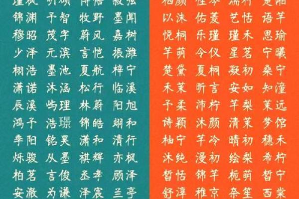如何为家族取一个寓意深远的名字