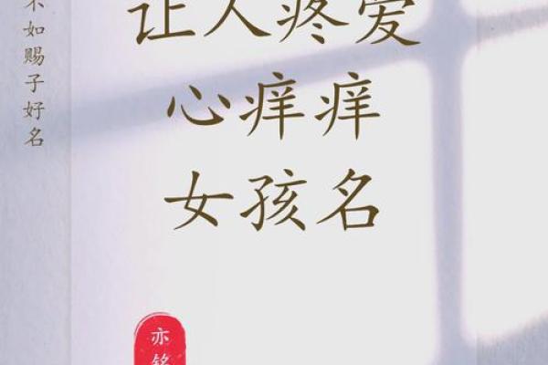 一伊人生，运程璀璨：姓名魅力解析