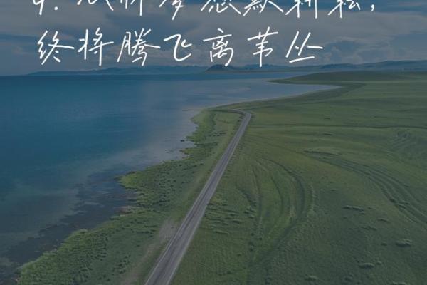 林灿：璀璨人生，光耀前程——姓名运势解析