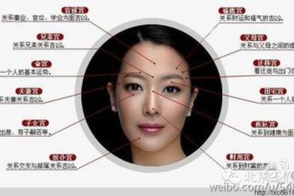 揭秘面相大师巅峰排行榜：谁才是真正的面相帝？