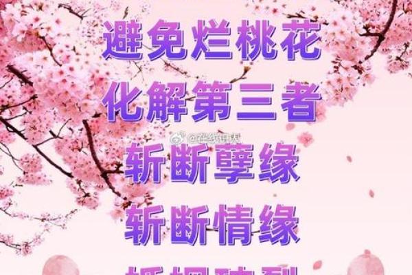 地支桃花来袭，教你如何应对桃花劫