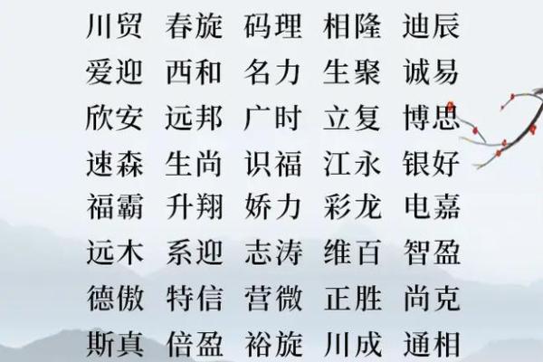 兴字在公司起名中的独特魅力与应用技巧
