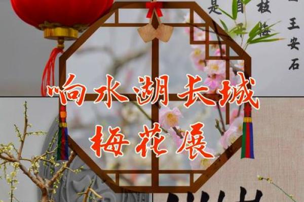 长城脚下赏花潮，五一佳节民俗风