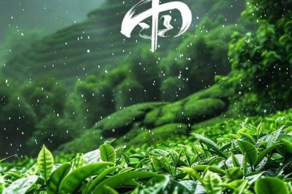丁小雨：雨润万物，小雨润心，姓名中的吉祥寓意与运势