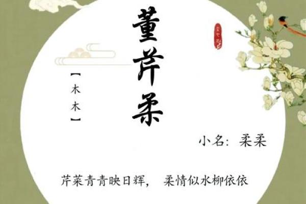 如何为董姓宝宝取个寓意深远的名字