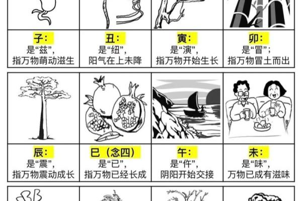 一学就会的十二地支背诵技巧，学霸必备
