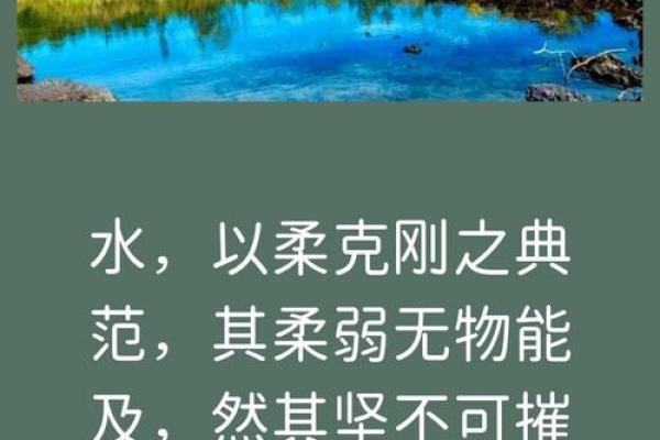 壬子水之力：揭秘如何抓住运势高峰期