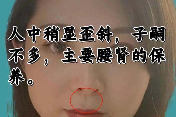 女狮相面相：威严与柔美的独特魅力