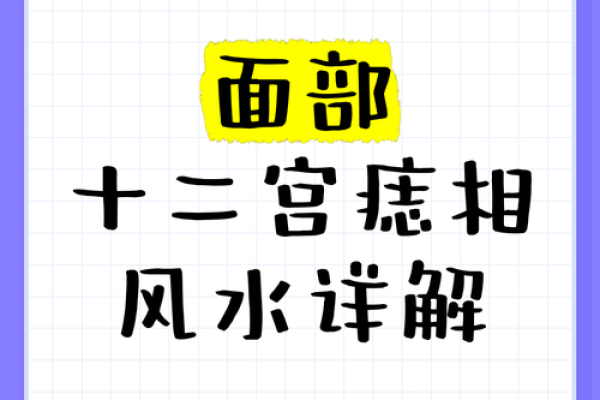 面相风水12功：揭秘五官之间的神秘联系