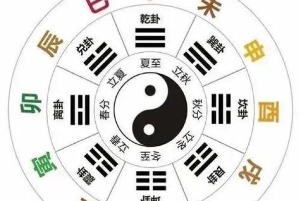 地支奥秘：揭秘离卦的神奇魅力