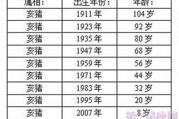 猪年男宝宝取名：寓意吉祥的传统文化选择