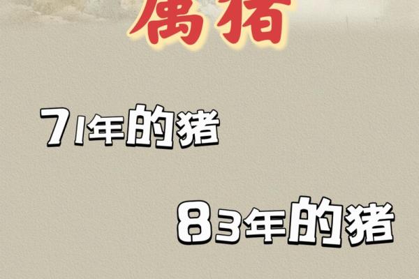 猪年男宝宝取名：寓意吉祥的传统文化选择