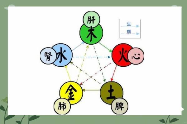 杜五行属什么，探秘其背后的奥秘