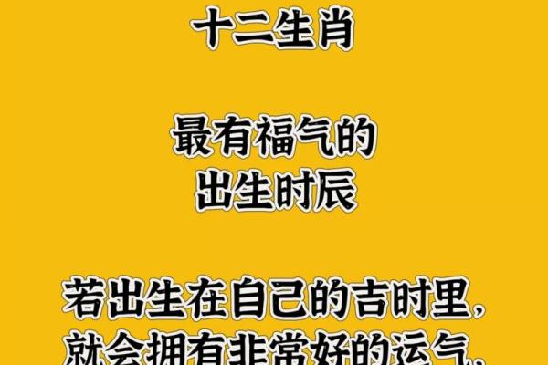地支运势揭秘：每日运势，揭秘你的生肖日