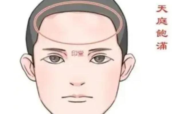 面相解析：天庭饱满的男人运势如何？