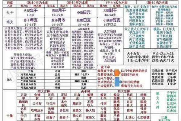 阳字五行与命理的关系解析
