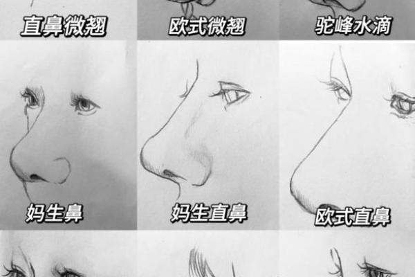 男性鼻型面相解析：揭秘不同鼻型背后的性格命运之谜
