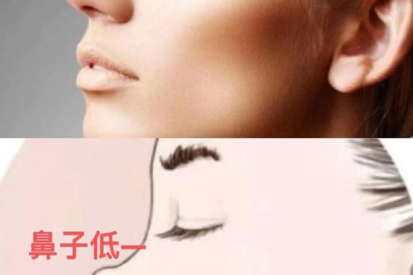 男性鼻型面相解析：揭秘不同鼻型背后的性格命运之谜