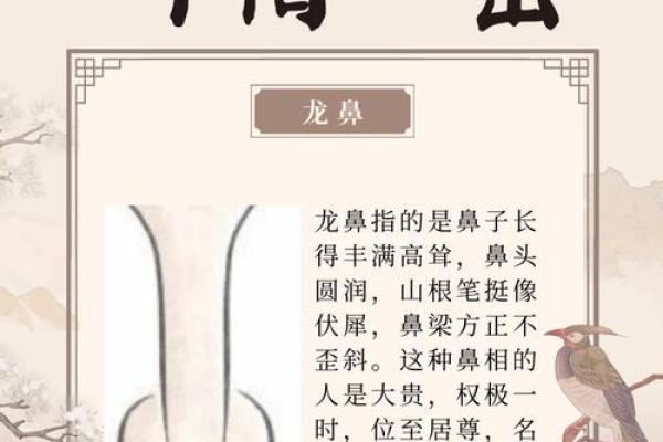 下巴宽阔彰显福泽：揭秘面相中的富贵相