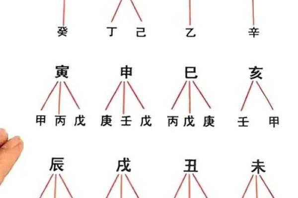 命运的轨迹：深入解析命理与人生走向