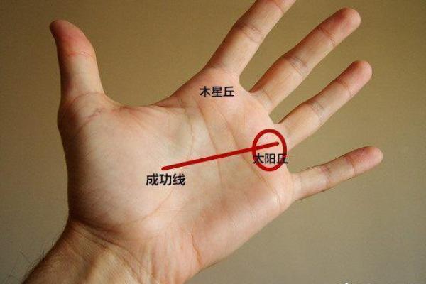 命运从此改写：吴文忻教你掌握命理术