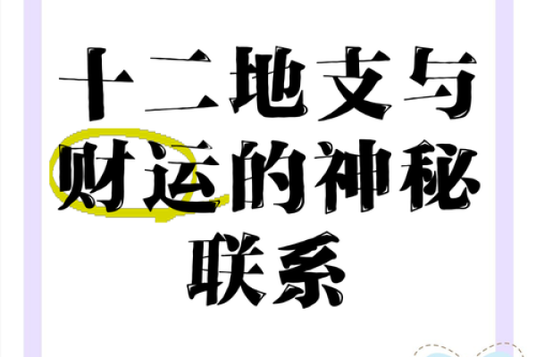 地支财被劫，揭秘如何破解财运危机