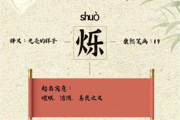 名字的力量：揭秘名字背后的神奇寓愿