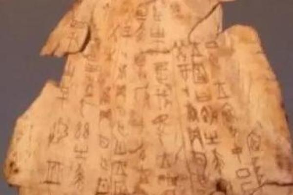 余可：从名字到性格的深层解析