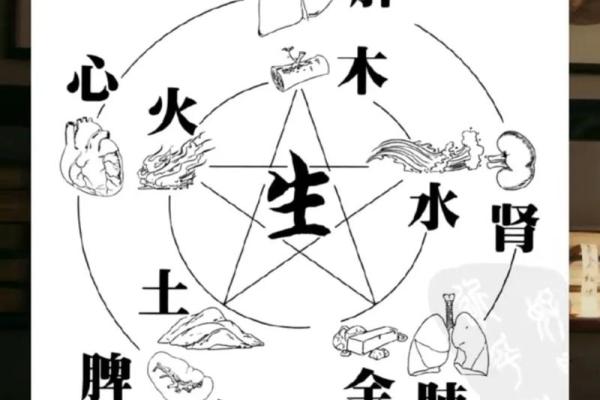 学校五行属性与校园文化的关系