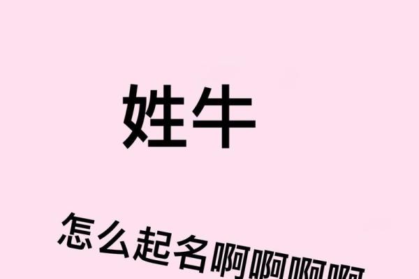 牛姓宝宝名字精选宝典