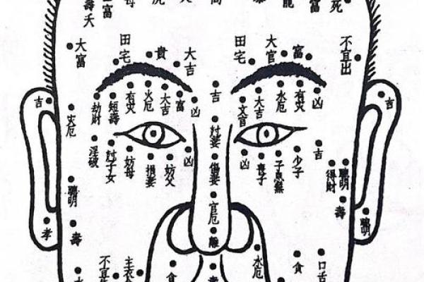 面相奥秘：竖心纹面相揭示命运走向