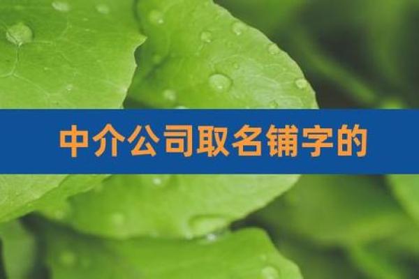 中介公司起名网免费服务助力品牌打造专业形象