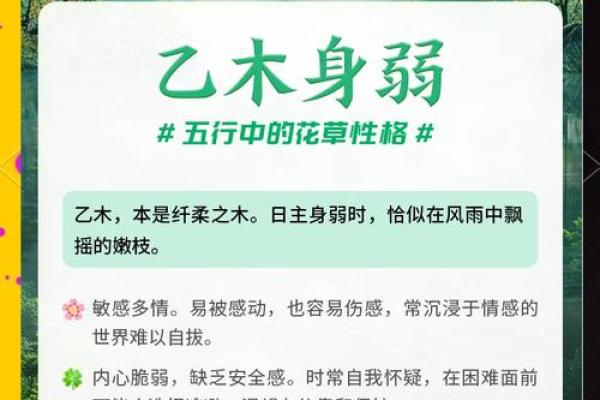 寅木运势攻略：开启你的健康长寿之路