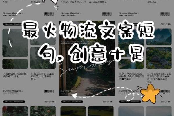 创意十足的免费物流公司命名方案推荐