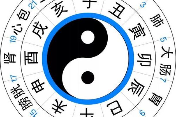 地支奇才：揭秘比肩做地支的独特魅力