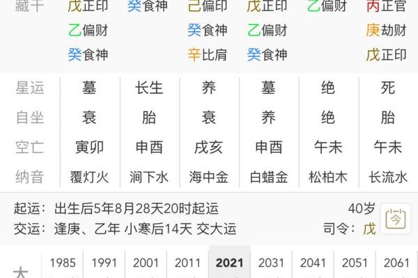 地支食神助力，揭秘你的财富运势