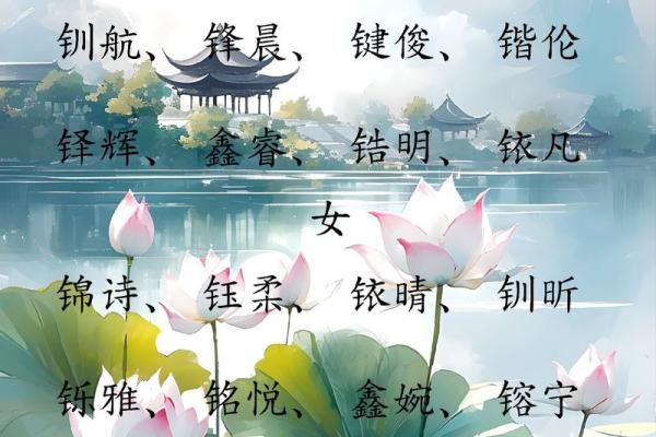王氏男孩名字大全：赋予孩子独特与传承的完美选择