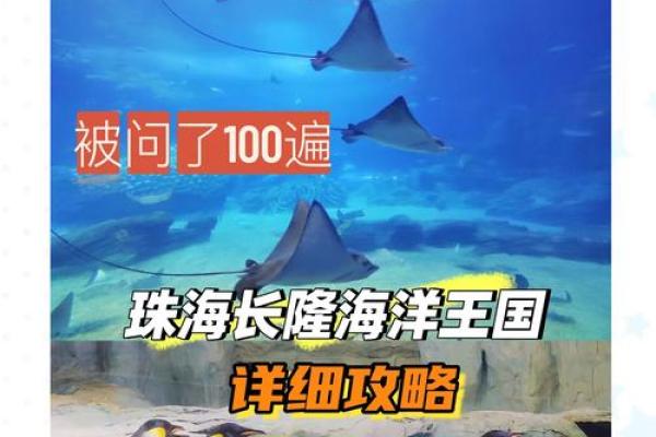 朱海：融合海洋之宽厚的名字，预示着广博的人生运势
