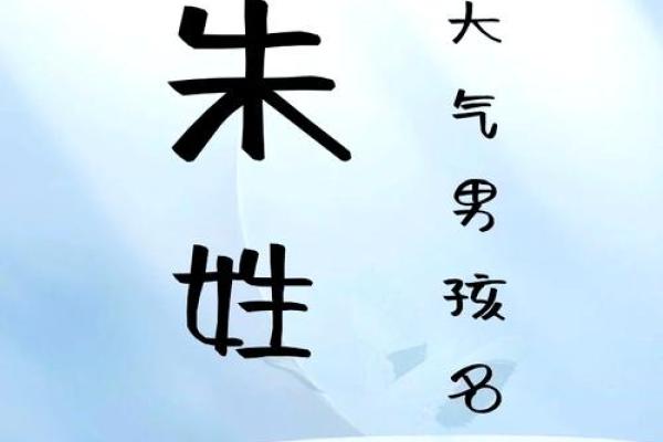 朱姓男孩优雅命名精选