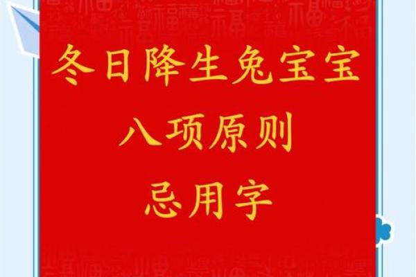 兔字的五行属性对运势的影响