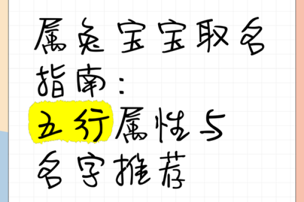 兔字的五行属性对运势的影响