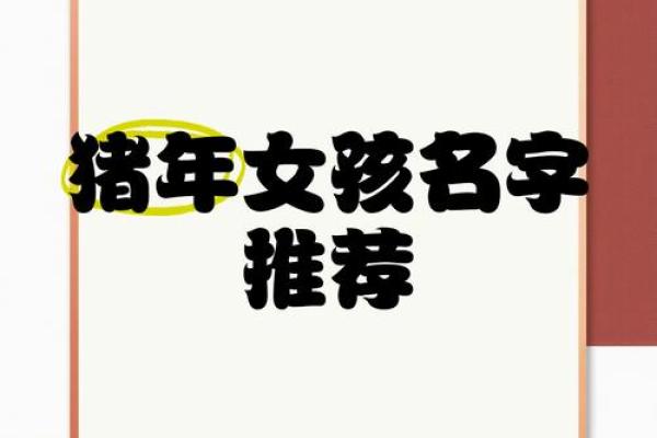 猪年袁氏萌宝起名攻略