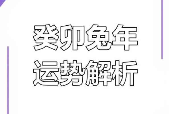 兔年风水秘籍：轻松招财，财运亨通