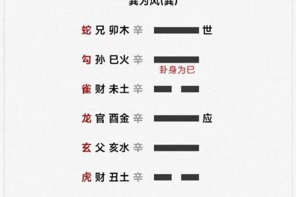 阴阳交战，地支杀气引发的惊天动地事件