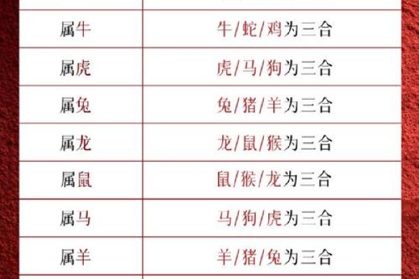 太岁运势揭秘：地支生肖的专属运势