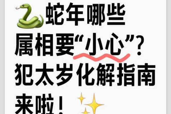 蛇年命理指南：揭秘你的事业高峰与低谷