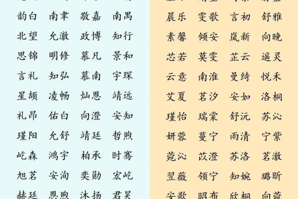 鑫宝贝：取名的灵感和寓意