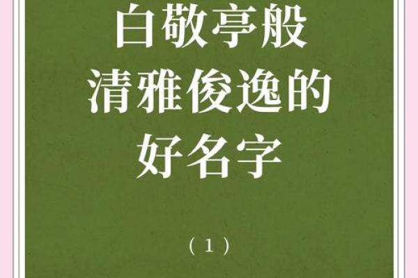 鑫宝贝：取名的灵感和寓意