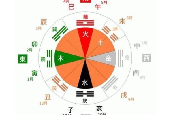 地支磁场揭秘：能量流转的秘密通道