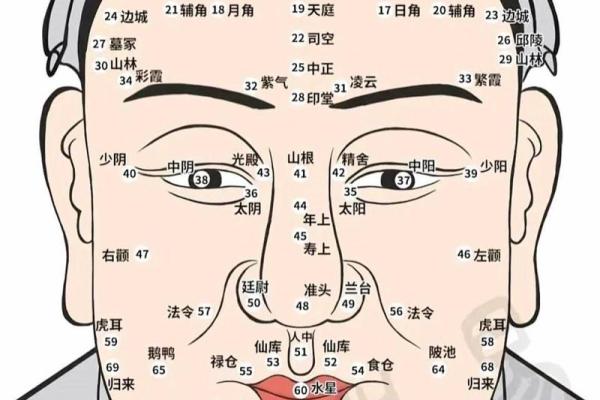 耳根连着脸面，福泽深厚面相解析